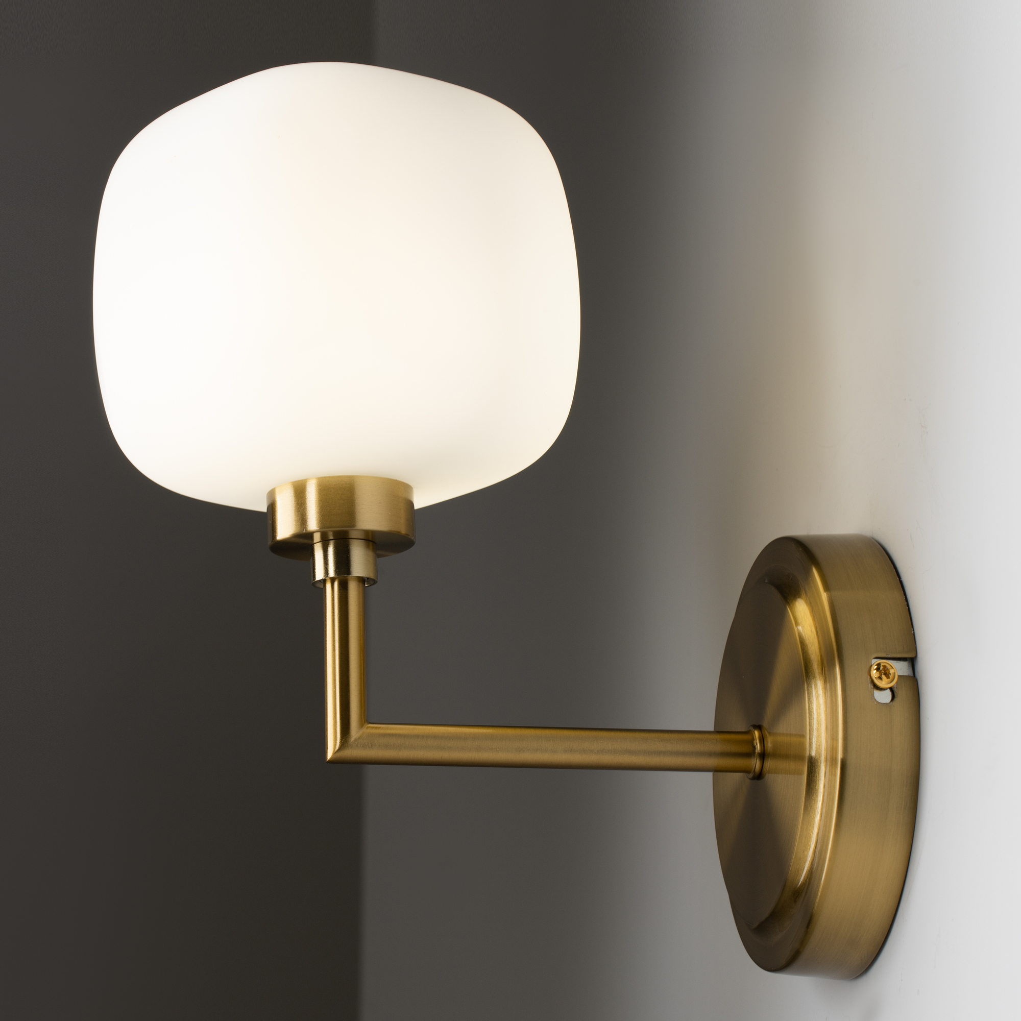 Бра Freya Tender FR5373WL-01BS_MY