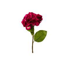 Гортензия алая Garda Decor 9F28060MK-4228