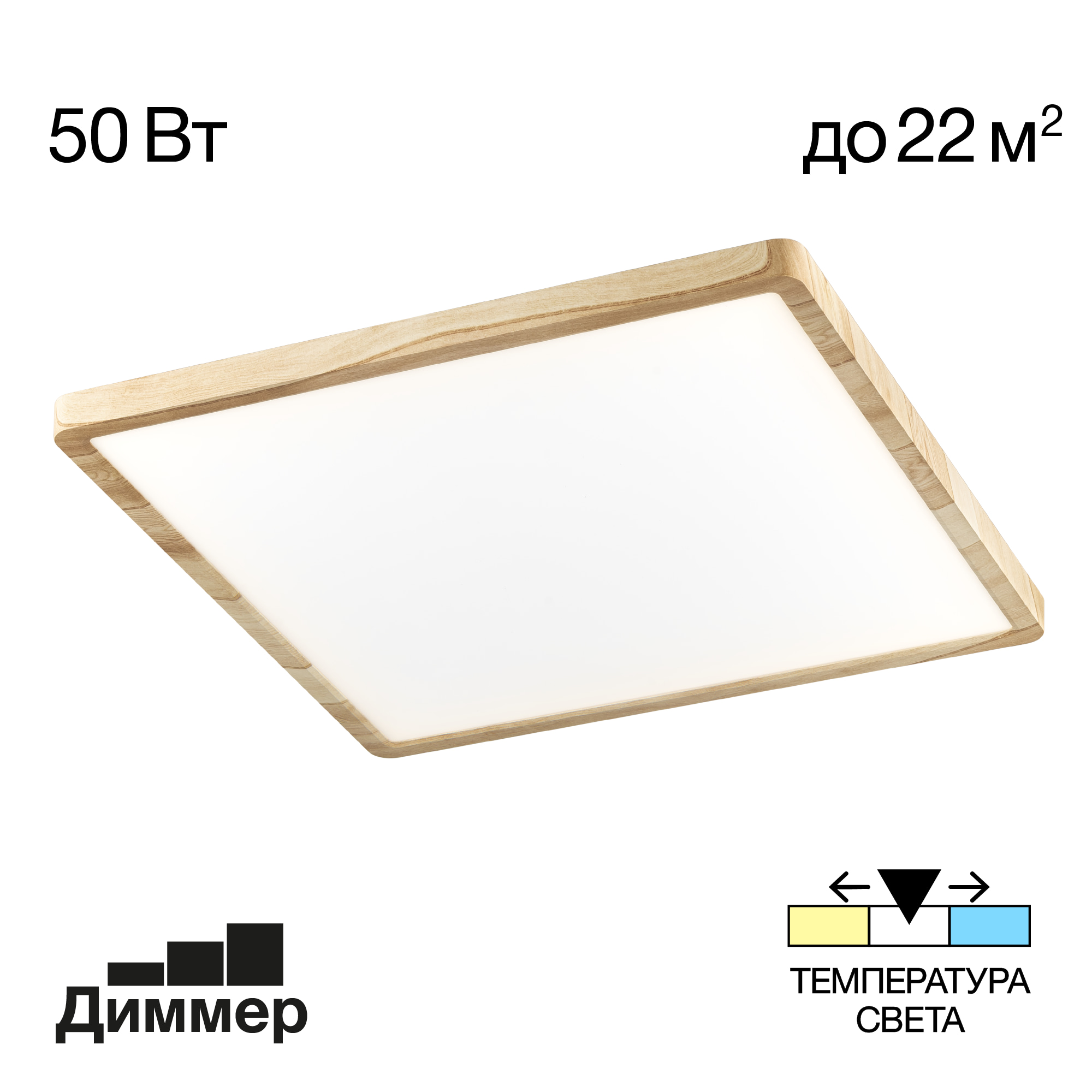 Потолочный светильник Citilux Бейсик CL738K502V