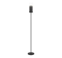 Торшер Eglo TOOTHILL 44004