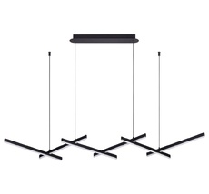 Подвесная люстра Odeon Light RUDY 3890/85L