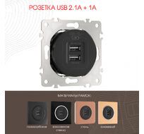 Розетка USB 2.1А+1А Arte Milano 202.46-1.black