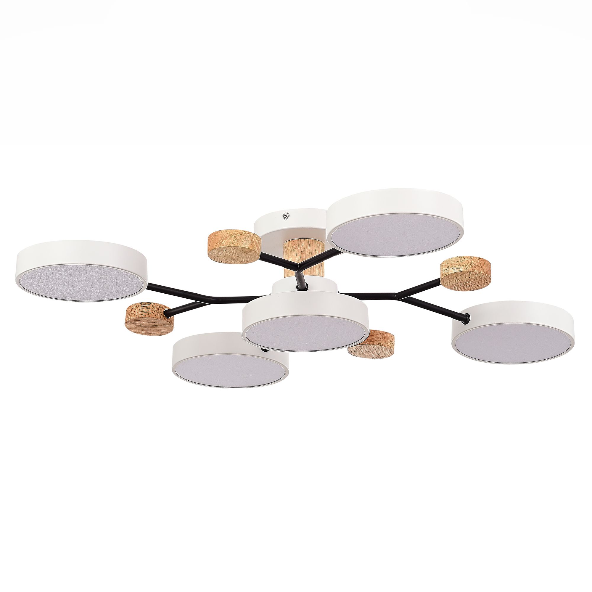 Потолочная люстра Evoluce FAEMA SLE6006-502-05