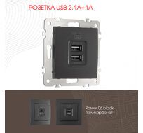 Розетка USB 2.1А+1А Arte Milano 206.46-1.black