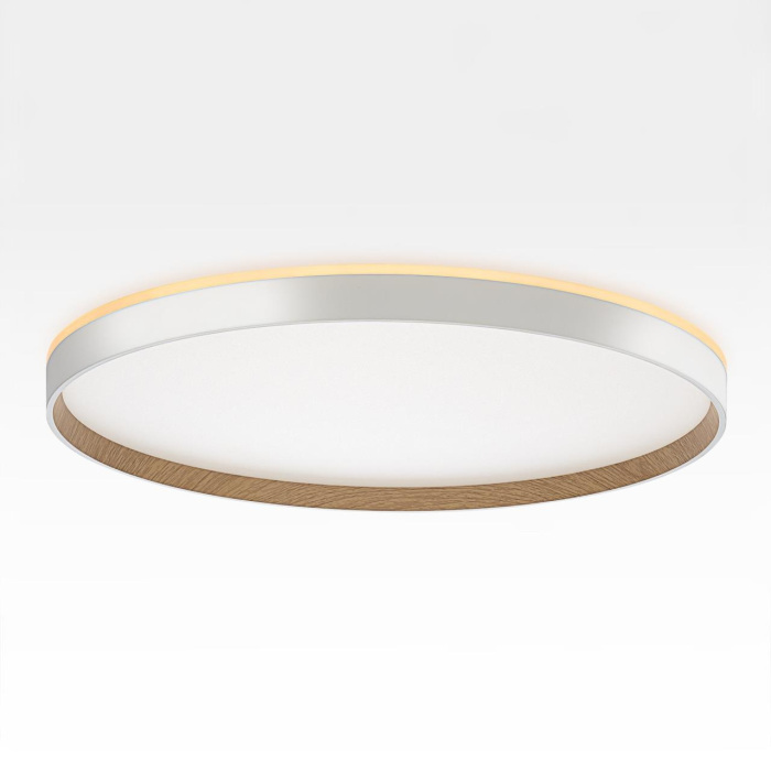 Потолочный светильник Citilux Etalon CL750500R