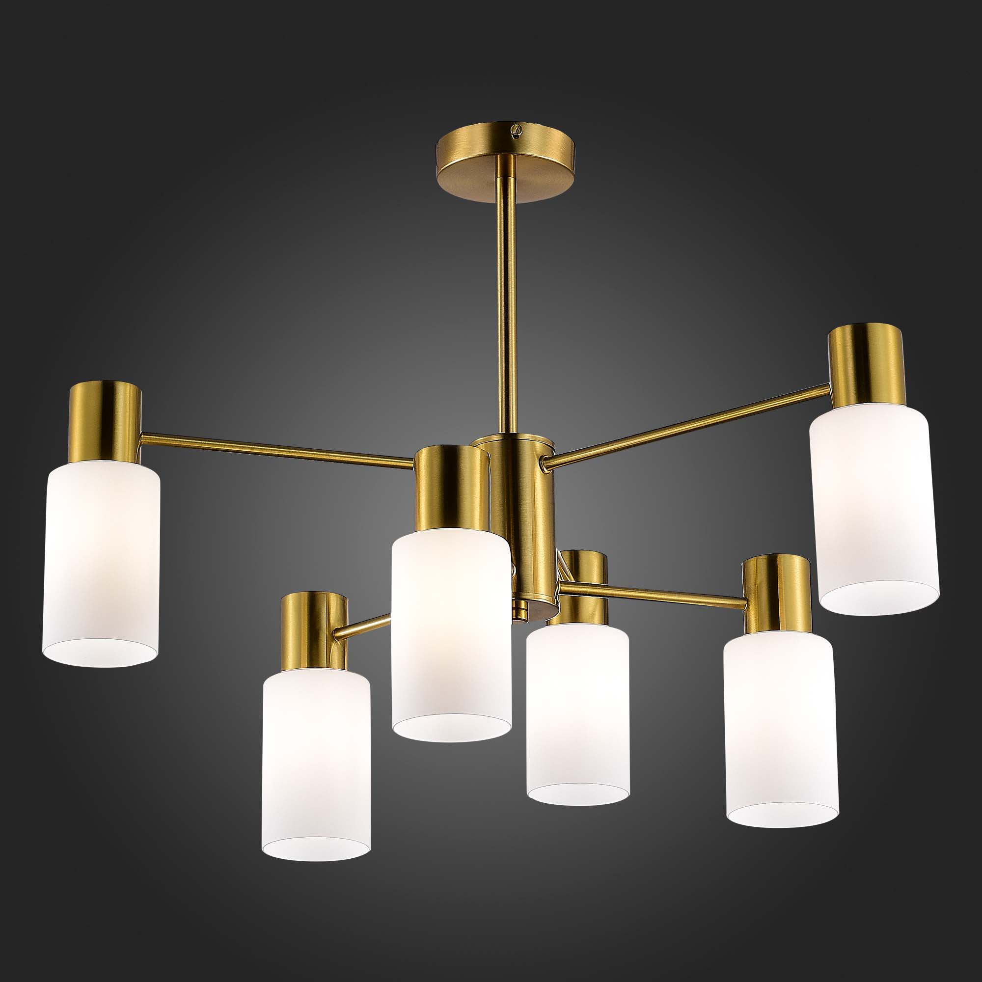 Потолочная люстра Evoluce GESSI Modern SLE1139-302-06