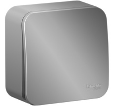 Выключатель накладной с самовозвратом одноклавишный (алюминий) Systeme Electric BLNCA101013