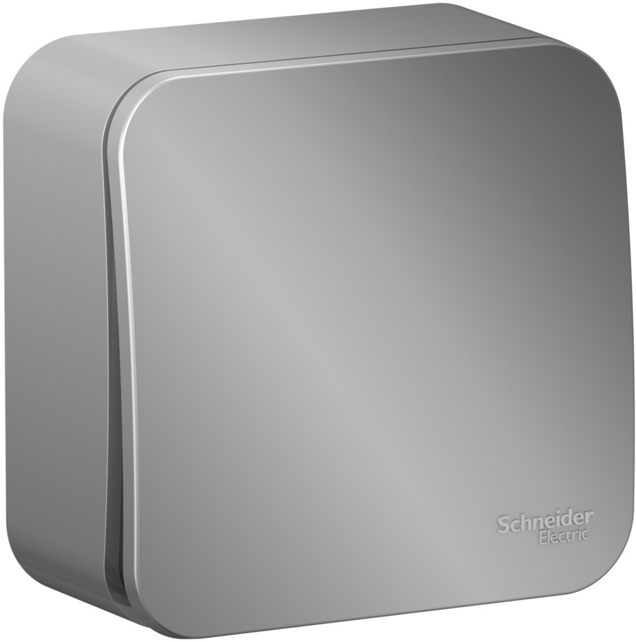 Выключатель накладной с самовозвратом одноклавишный (алюминий) Systeme Electric BLNCA101013