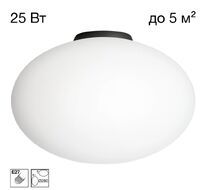 Настенно-потолочный светильник Citilux Ron CL941E28B5