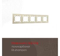 Рамка из поликарбоната на 5 постов Arte Milano 503.06-5.shampan