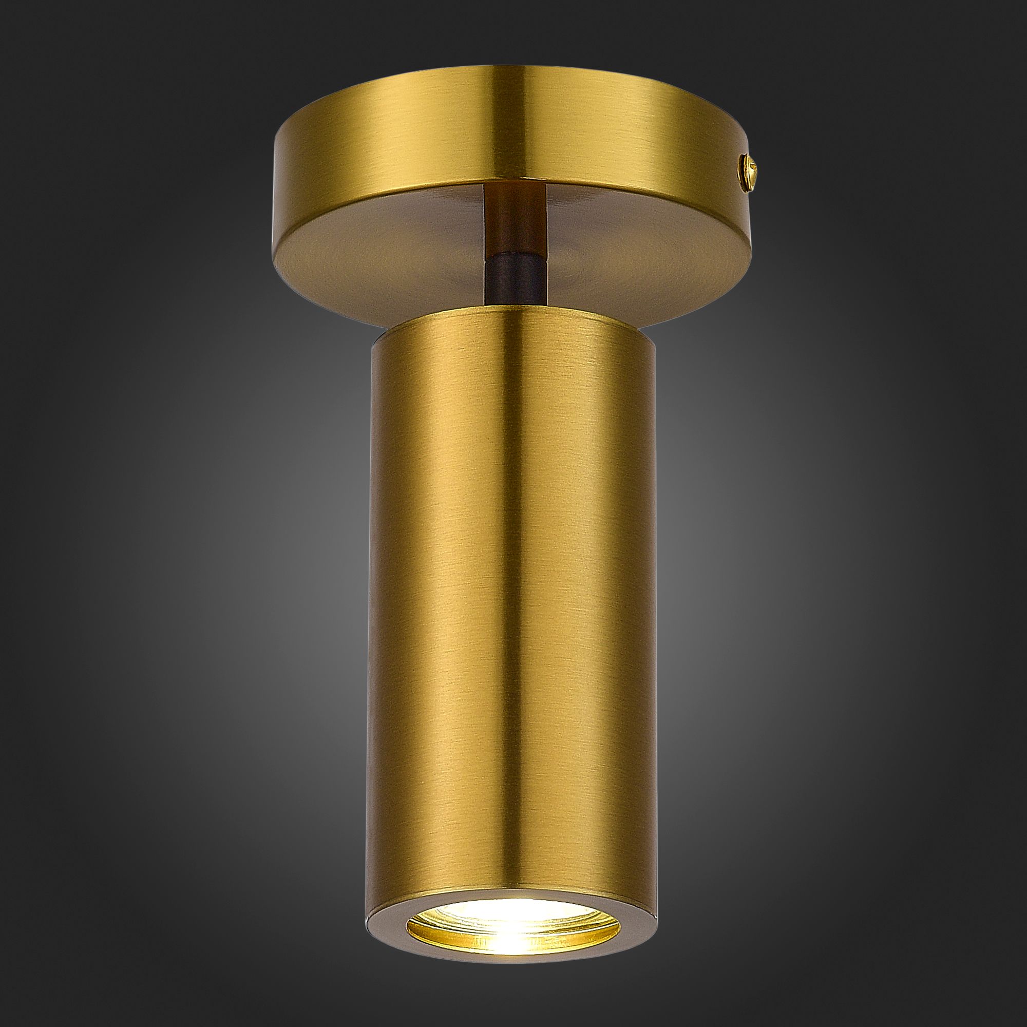 Потолочный светильник ST Luce TALIA SL1215.402.01