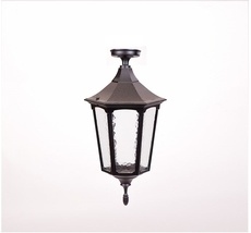 Потолочный светильник уличный IP44 Oasis Light 79705LA Bl_OL