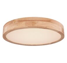 Потолочный светильник Globo Rainer 41745-24_GL