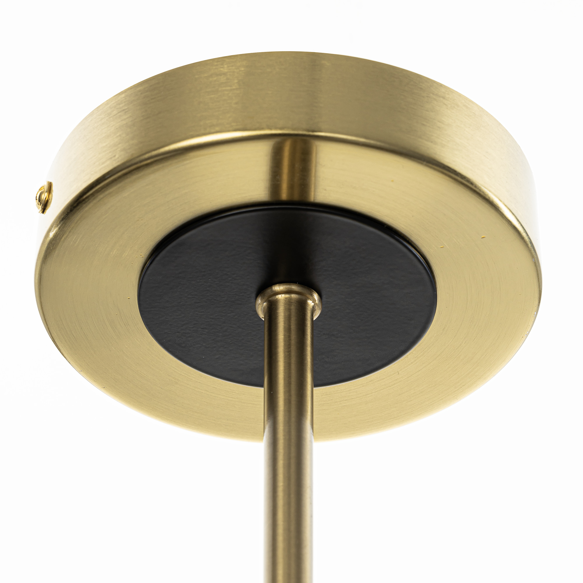 Потолочная люстра на штанге Citilux ALTON CL421253