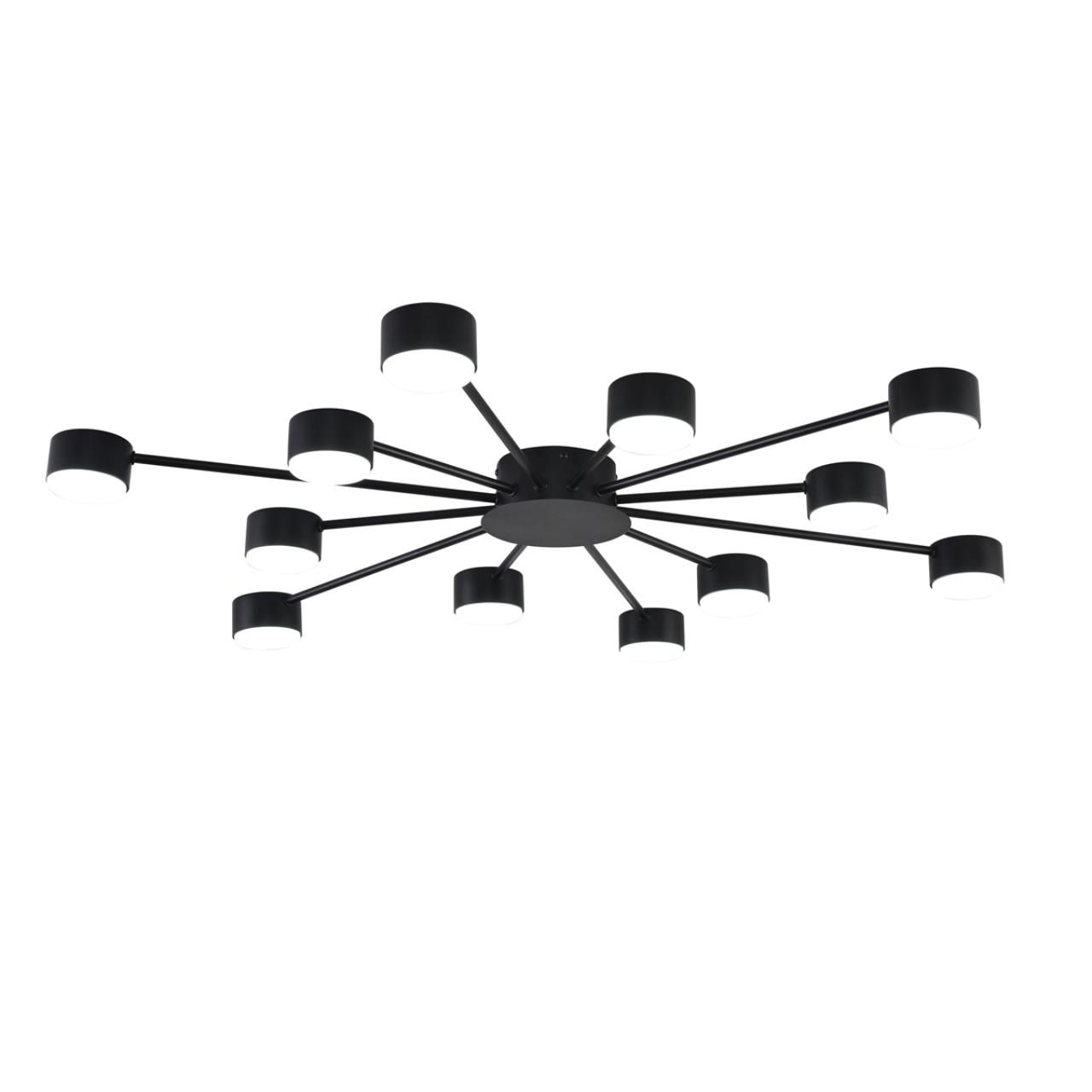 Потолочная люстра LUMION TORINA 8344/12C