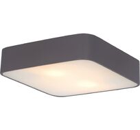 Потолочный светильник ArteLamp Cosmopolitan A7210PL-2BK