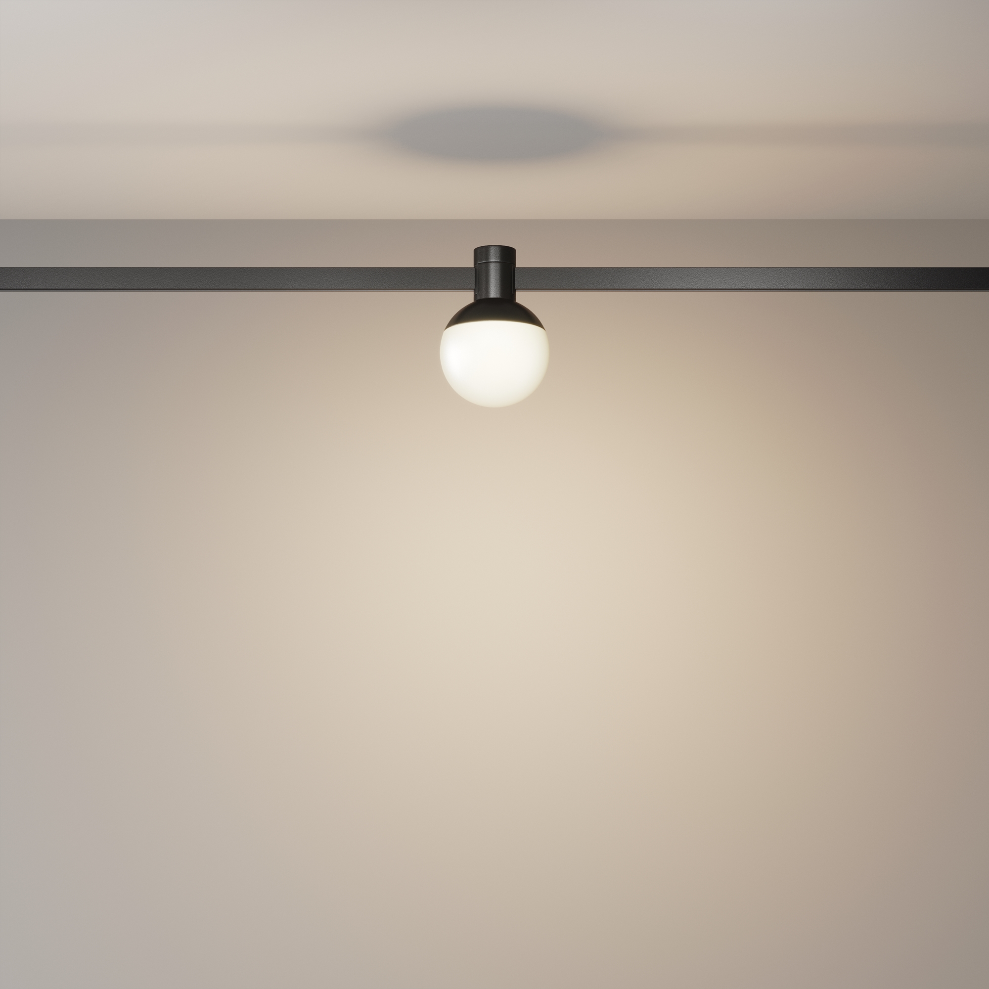 Трековый светильник Maytoni Luna TR149-1-5W3K-B_MY