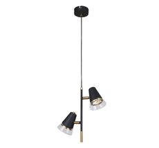 Подвесной светильник F-Promo Trandy 4618-2P