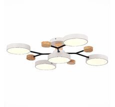 Потолочная люстра Evoluce FAEMA SLE6006-502-05