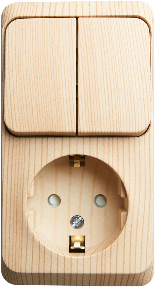 Розетка накладная с заземлением с двухклавишным выключателем (сосна) Systeme Electric BPA16-202D