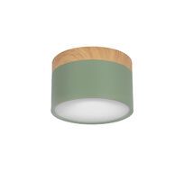Накладной светильник Loft IT Grape 10162 Green_LF