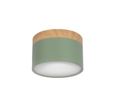 Накладной светильник Loft IT Grape 10162 Green_LF