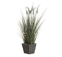 Вейник остроконечный Garda Decor 8J-11AK0023