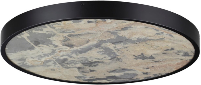 Настенно-потолочный светильник BERGI Odeon Light 5064/50L