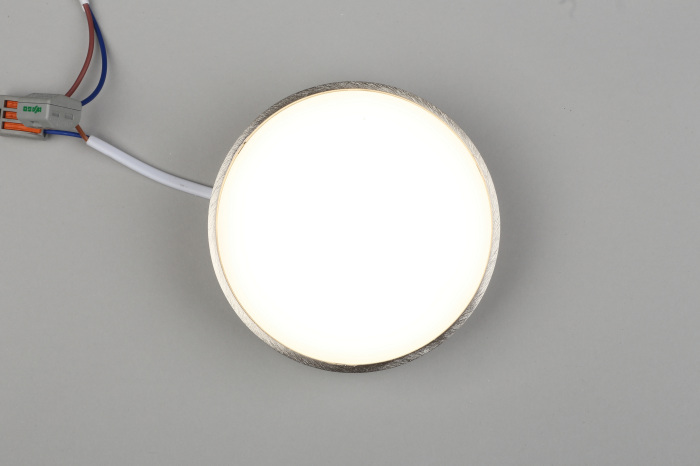 Потолочный светильник круглый светодиодный Aployt APL.0114.19.12