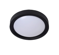 Настенно-потолочный светильник Lucide LEX 08109/02/30