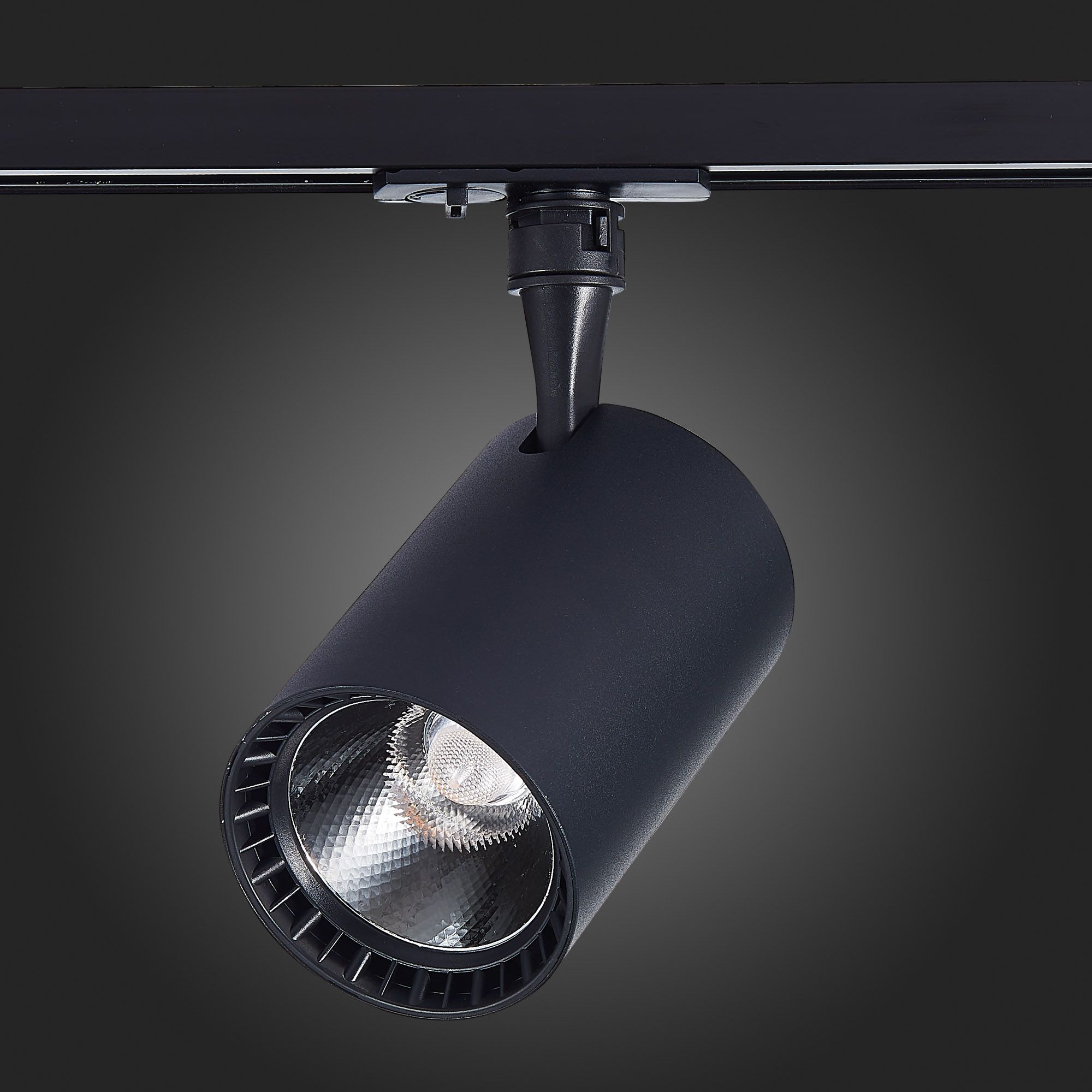 Трековый светильник ST Luce однофазный CAMI ST351.446.20.36
