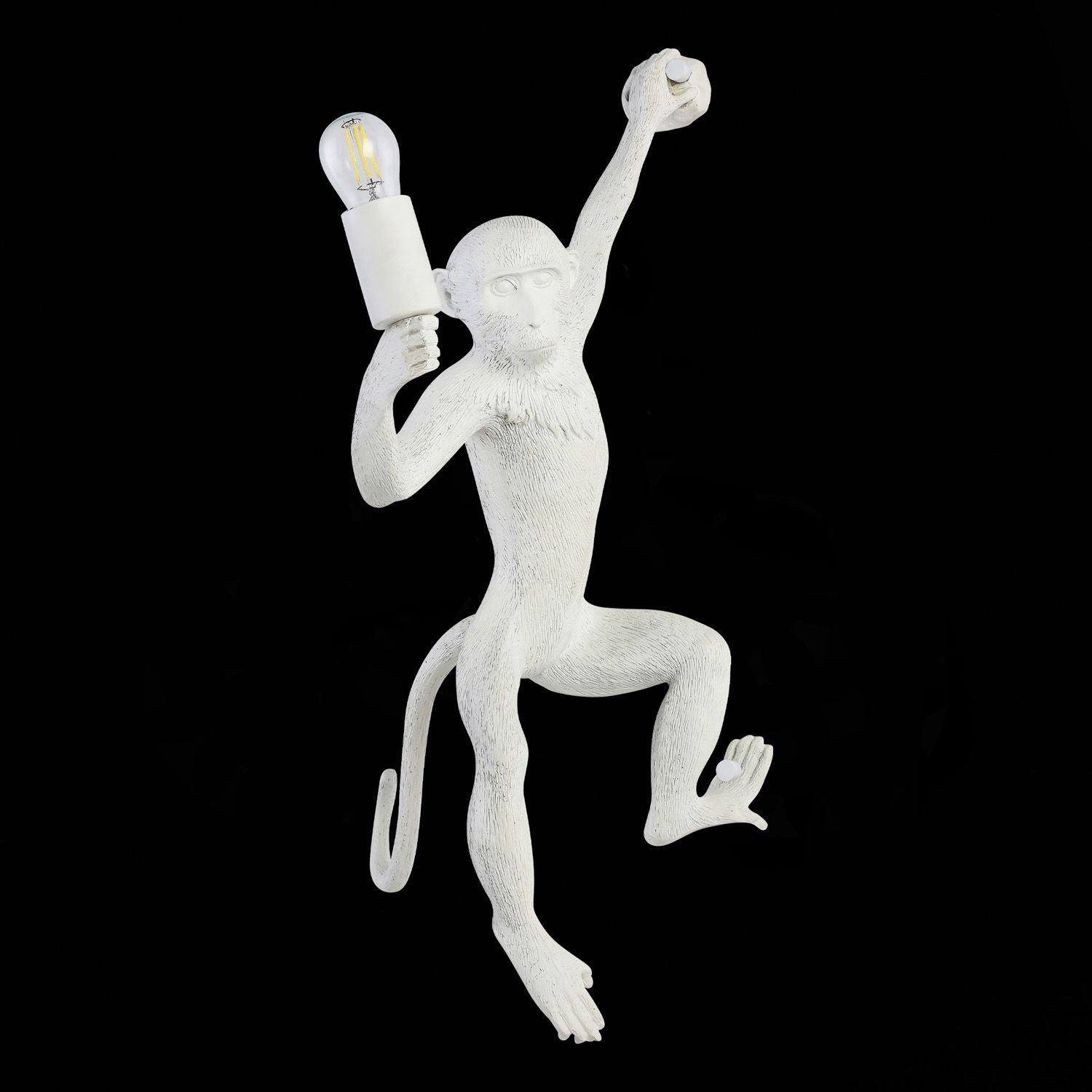 Настенный светильник Evoluce с мартышкой TENATO SLE115111-01