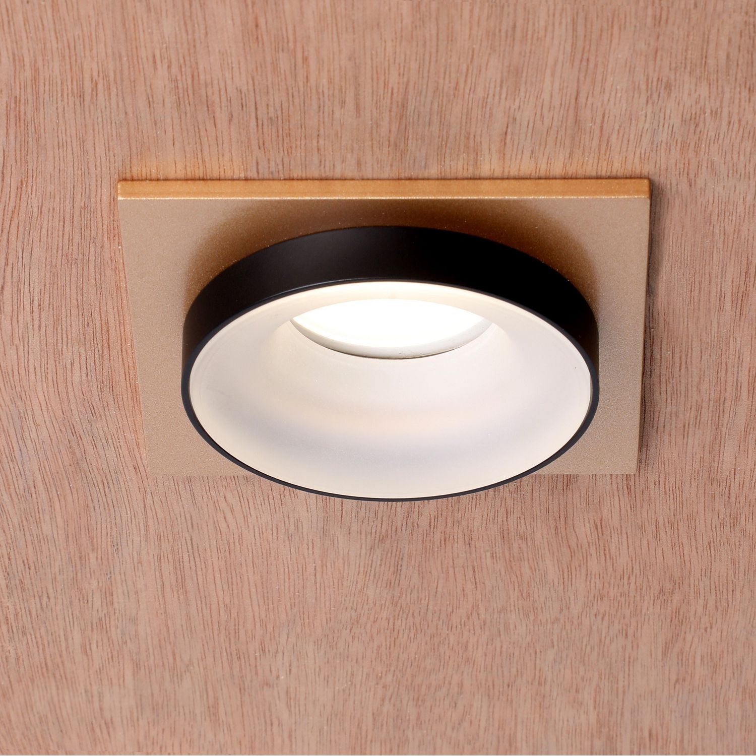 Встраиваемый светильник Favourite Врезной Diversa 2887-1C