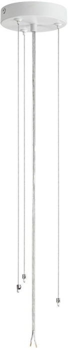 Потолочный светильник Lumion ANIMAISA 8002/6C