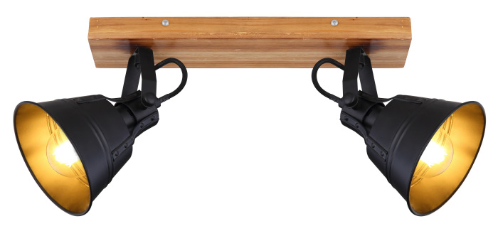 Спот Globo Gunther 15466S-2_GL