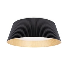 Потолочный светильник LOFT IT Evans 10224 Black_LF