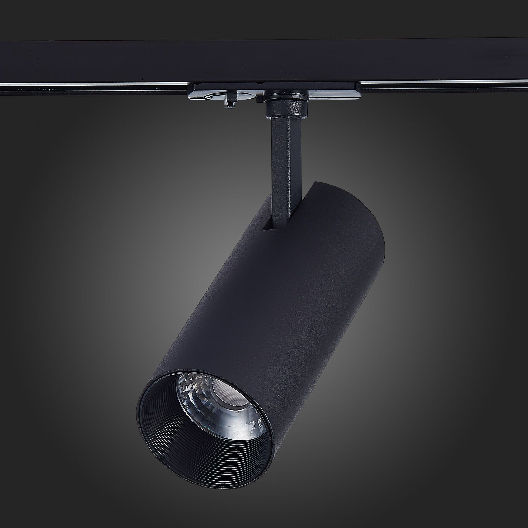 Трековый светильник ST Luce однофазный MONO ST350.436.20.36