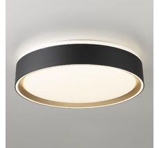 Светильник потолочный Citilux BOSS CL751251G