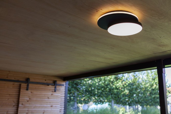 Потолочный светильник уличный IP44 светодиодный Oasis Light W2058 Bl_OL