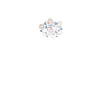 Потолочная люстра Lucia Tucci FIORI Fiori di rose 112.6.1