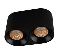 Накладной светильник Denkirs DK3096-BK+BR