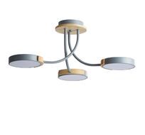 Потолочная люстра LUMION ARLEY 5655/54CL