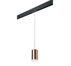 Трековый светильник для трека PRO Lightstar Rullo PRORP430430_LS