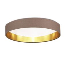 Потолочный светильник EVOLUCE BRESCIA SLE300572-01