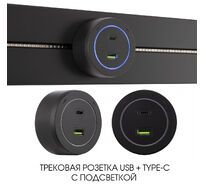 Трековая розетка Arte Milano track-sockets 399731TS/USB-Type-C Black
