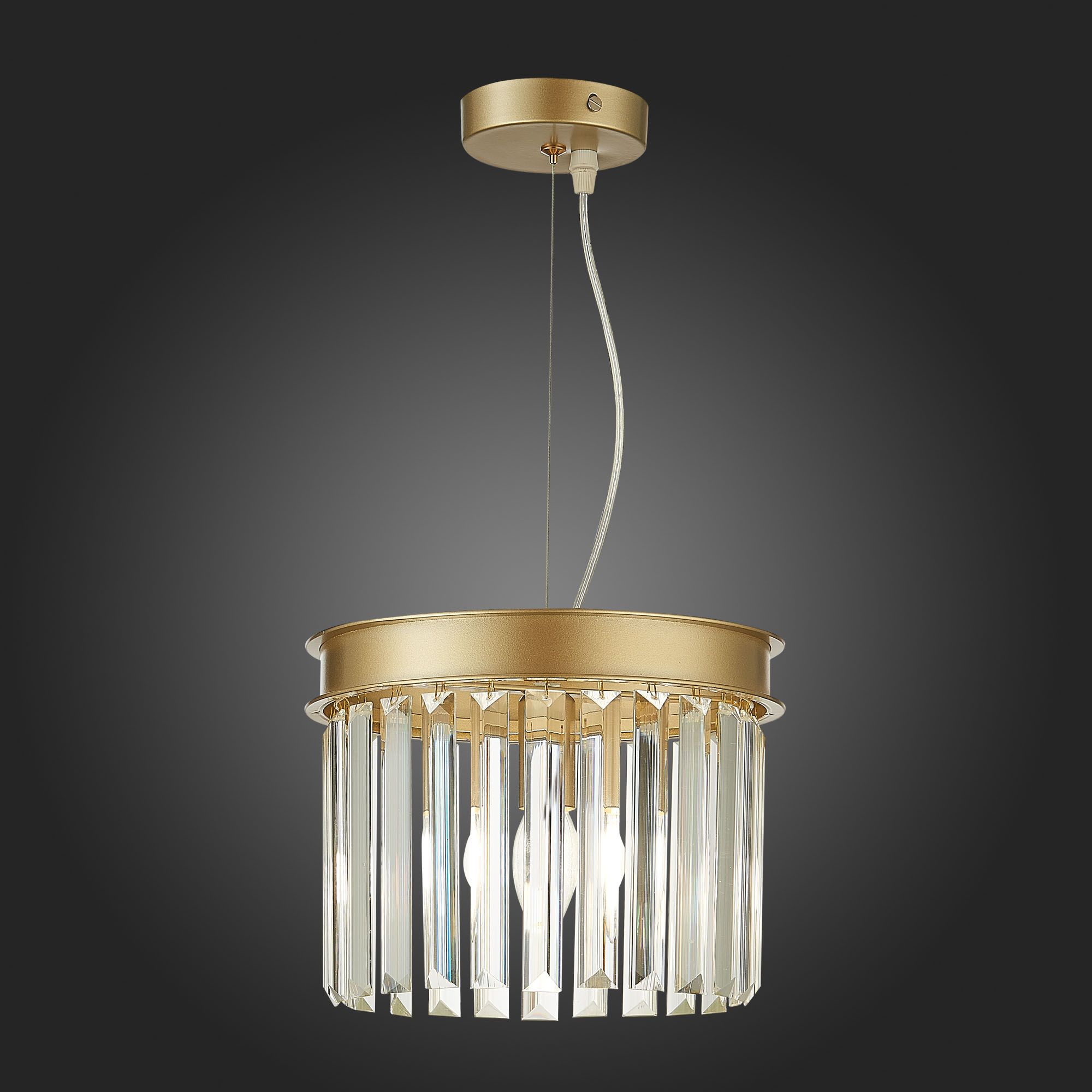 Подвесной светильник ST Luce Ercolano SL1624.203.01