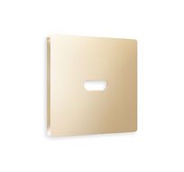 Лицевая панель для HDMI розетки QUANT Ambrella Volt ALFA AP6140_AMB