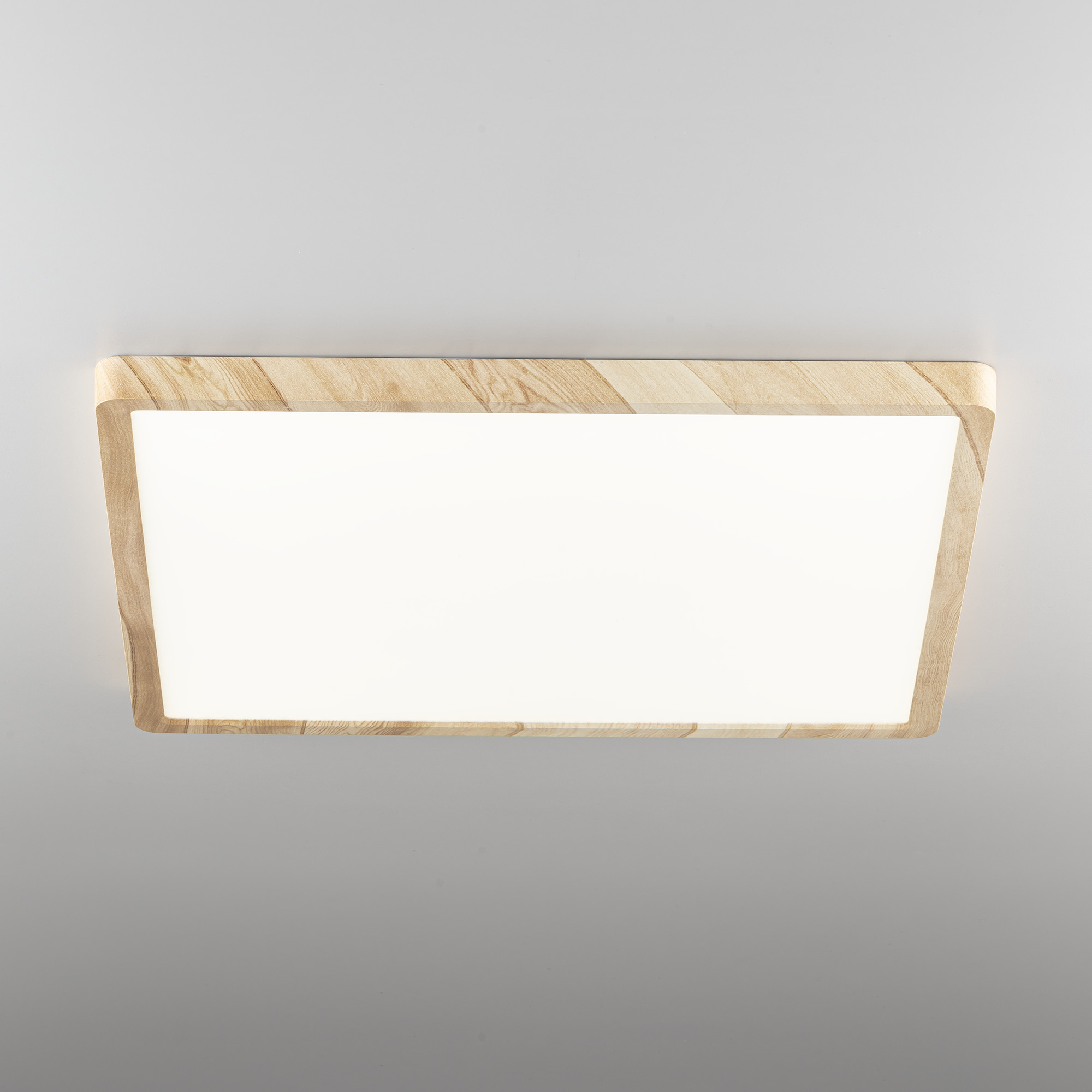 Потолочный светильник Citilux Бейсик CL738K502V