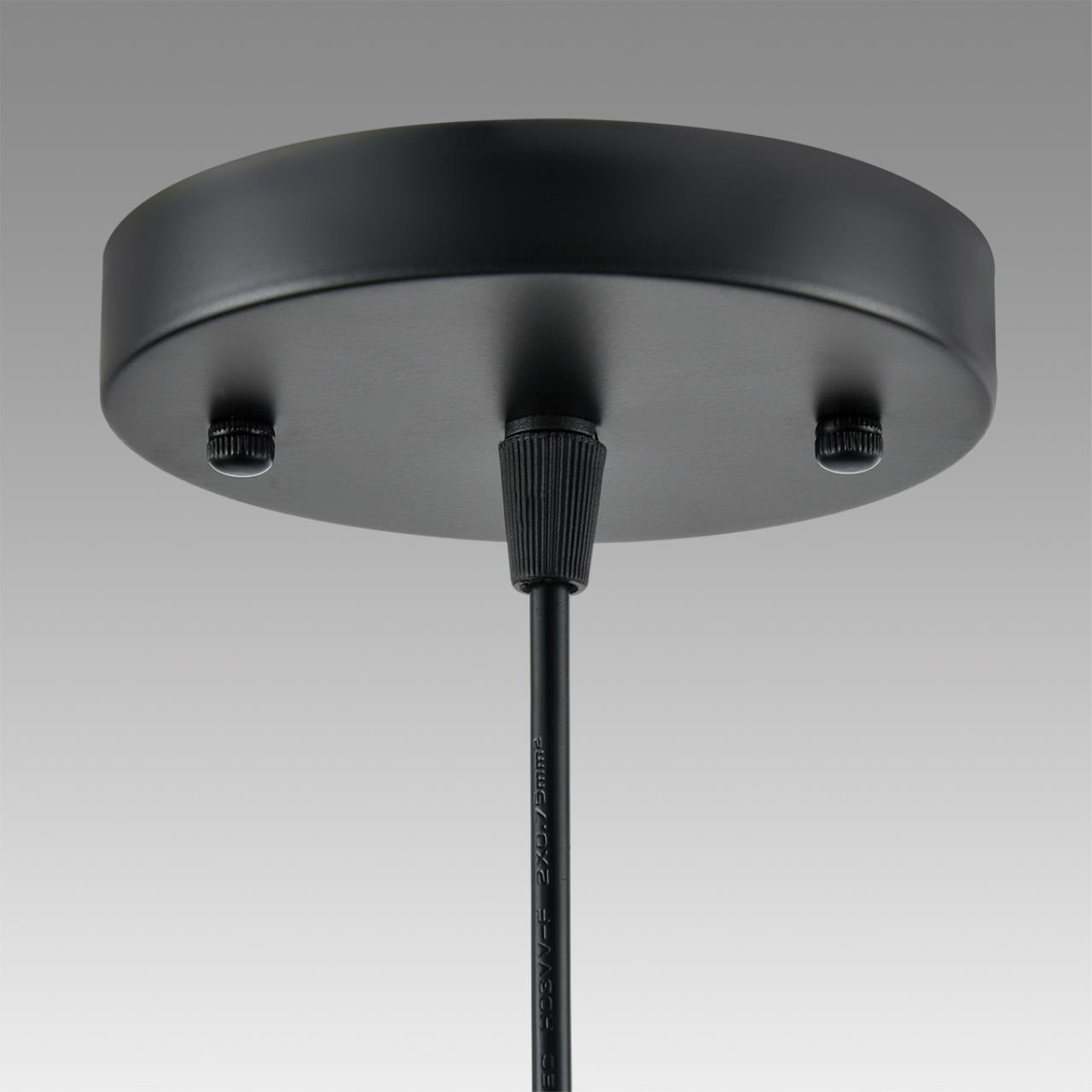 Подвесной светильник LUMION LEONELA 8052/1A