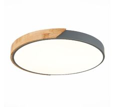 Потолочный светильник Evoluce FESTA SLE200972-01